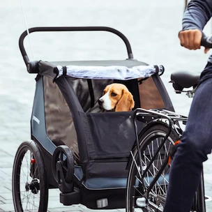 Komplet za predelavo vozička Thule  Courier Dog Trailer Kit