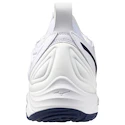 Moška dvoranska obutev Mizuno  Wave MOMENTUM 3 White/Bellwether Blue