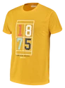 Moška majica Babolat  Exercise Vintage Tee Men Saffron Heather