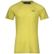 Moška majica Bergans  Floyen Wool Tee Green