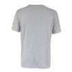 Moška majica CCM  FLAG TEE TEAM AUSTRIA Athletic Grey