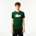 Moška majica Lacoste  Big Logo Core Performance T-Shirt Green/White