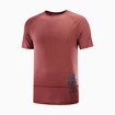 Moška majica Salomon Cross Run Graphic Tee Cabernet