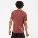 Moška majica Salomon Cross Run Graphic Tee Cabernet