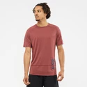 Moška majica Salomon Cross Run Graphic Tee Cabernet