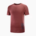 Moška majica Salomon Cross Run Graphic Tee Cabernet  XL