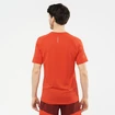 Moška majica Salomon Cross Run SS Tee Fiery Red