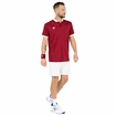 Moška majica Tecnifibre  Club Polo Cardinal