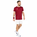 Moška majica Tecnifibre  Club Polo Cardinal