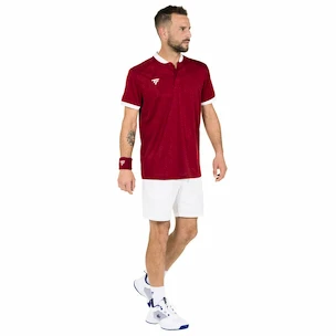 Moška majica Tecnifibre  Club Polo Cardinal