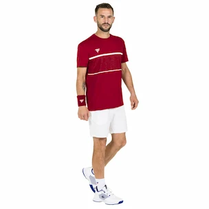 Moška majica Tecnifibre  Club Tech Tee Cardinal