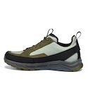 Moška obutev za uporabo na prostem Hanwag Rotpunkt Light Low GTX Deep Olive/Light Olive