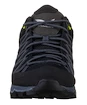 Moška obutev za uporabo na prostem Salewa MS MTN Trainer Lite Gtx Black/Black