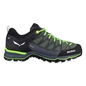 Moška obutev za uporabo na prostem Salewa MS MTN Trainer Lite Gtx Myrtle/Ombre Blue