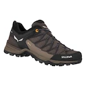 Moška obutev za uporabo na prostem Salewa MTN Trainer Lite GTX   UK 11