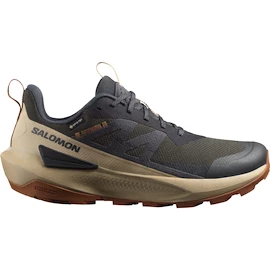 Moška obutev za uporabo na prostem Salomon Activ Gore-Tex Phantom/Safari/Caramel Cafe