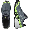 Moška tekaška obutev Salomon 6 Gtx Flint/Grgeck/Black