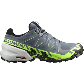 Moška tekaška obutev Salomon 6 Gtx Flint/Grgeck/Black