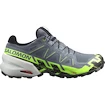 Moška tekaška obutev Salomon 6 Gtx Flint/Grgeck/Black  UK 9,5