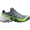 Moška tekaška obutev Salomon 6 Gtx Flint/Grgeck/Black  UK 9,5