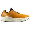 Moška tekaška obutev Salomon Aero Glide 3 Turmeric/White/Black