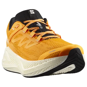 Moška tekaška obutev Salomon Aero Glide 3 Turmeric/White/Black