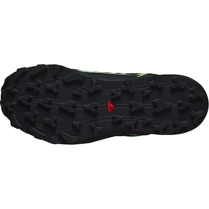 Moška tekaška obutev Salomon GTX Black/Grgeck/Black  UK 12,5