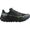 Moška tekaška obutev Salomon GTX Black/Grgeck/Black  UK 12,5