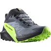 Moška tekaška obutev Salomon GTX Flint/Black/Grgeck