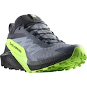 Moška tekaška obutev Salomon GTX Flint/Black/Grgeck