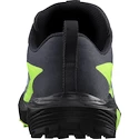 Moška tekaška obutev Salomon GTX Flint/Black/Grgeck