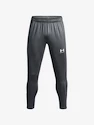 Moška trenirka Under Armour Challenger Training Pant-GRY