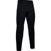 Moška trenirka Under Armour Flex Pant Black