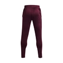 Moška trenirka Under Armour Terry Pant Red