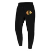 Moške hlače 47 Brand NHL Chicago Blackhawks Imprint ’47 BURNSIDE Pants