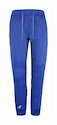 Moške hlače Babolat Exercise Jogger Pant M Sodalite Blue