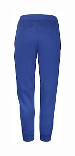 Moške hlače Babolat Exercise Jogger Pant M Sodalite Blue