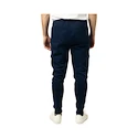 Moške hlače Bauer Gamechanger Jogger Navy