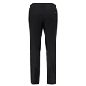 Moške hlače Salewa Agner Orval 3 DST M Reg Pants