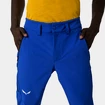 Moške hlače Salewa Agner Orval 3 DST M Reg Pants