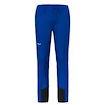 Moške hlače Salewa Agner Orval 3 DST M Reg Pants   L