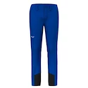 Moške hlače Salewa Agner Orval 3 DST M Reg Pants   L