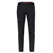 Moške hlače Salewa Pedroc 4 DST M Reg Pants