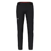 Moške hlače Salewa Pedroc 4 DST M Reg Pants   XL