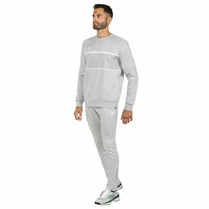 Moške hlače Tecnifibre Club Pants Silver