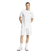 Moške kratke hlače adidas  Club Graphic Short White/Grey