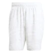 Moške kratke hlače adidas  Club Graphic Short White/Grey