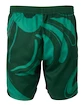 Moške kratke hlače Fila  Shorts Leo Aventurine/Print