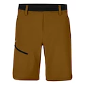 Moške kratke hlače Salewa  Puez 3 DST M Shorts Golden Brown L