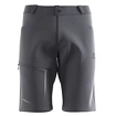 Moške kratke hlače Salomon  Wayfarer Shorts Ebony